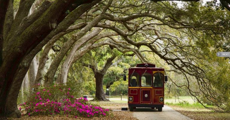 fun things to do in charleston, sc for young adults