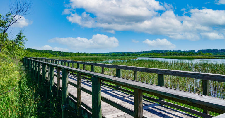 Gulf Shores and Orange Beach, Alabama