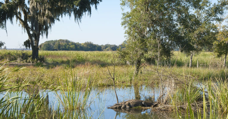 Savannah, Georgia