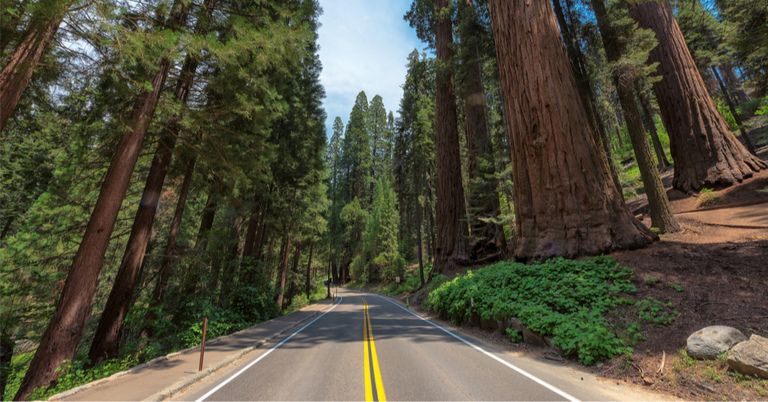 spring break destinations in california for teenagers