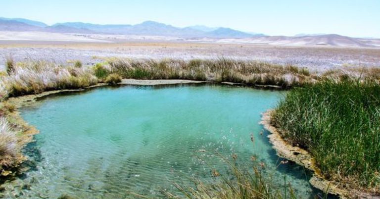 Enjoy Hot Springs at Tecopa Hot Springs